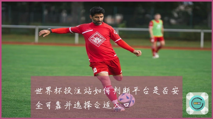 世界杯投注站如何判断平台是否安全可靠并选择合适入口
