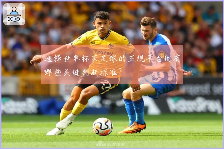 选择世界杯买足球的正规平台时有哪些关键判断标准？