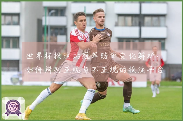 世界杯投注站冠军赔率变化解析，如何辨别正规与不正规的投注平台
