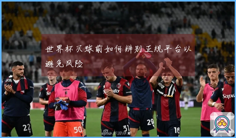 世界杯买球前如何辨别正规平台以避免风险