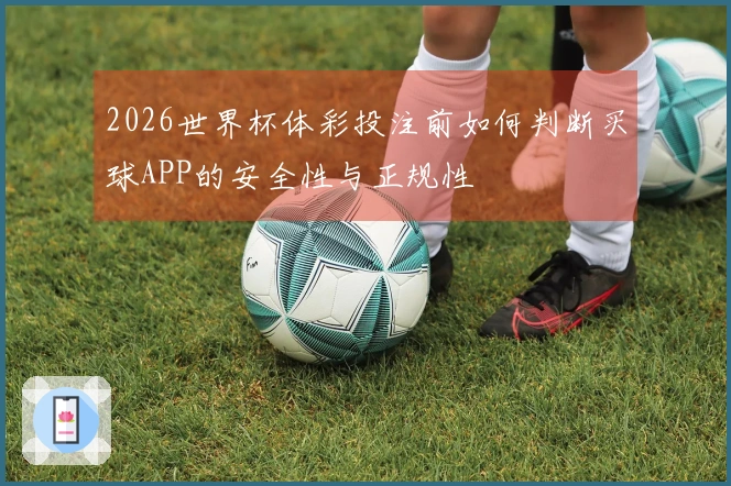 2026世界杯体彩投注前如何判断买球APP的安全性与正规性