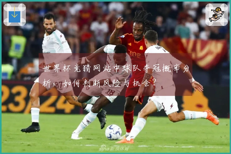 世界杯竞猜网站中球队夺冠概率分析，如何判断风险与机会？