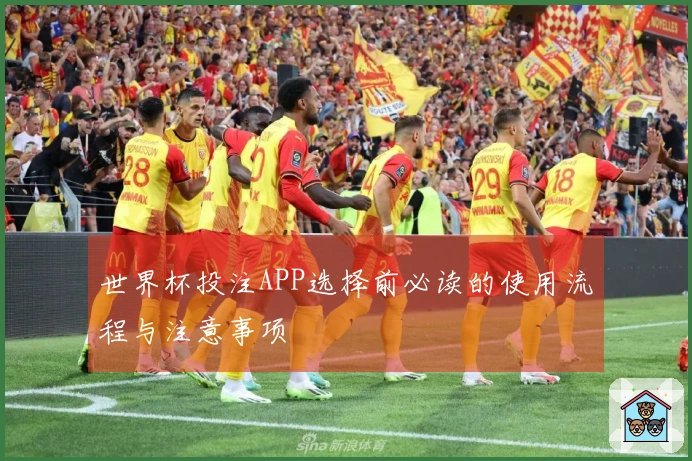 世界杯投注APP选择前必读的使用流程与注意事项