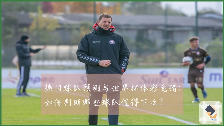 热门球队预测与世界杯体彩竞猜：如何判断哪些球队值得下注？