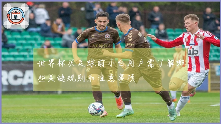 世界杯买足球前小白用户需了解哪些关键规则和注意事项