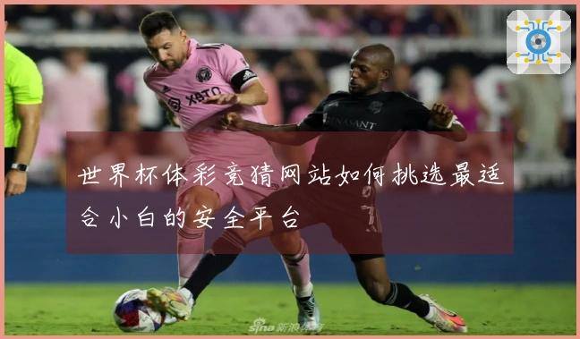 世界杯体彩竞猜网站如何挑选最适合小白的安全平台