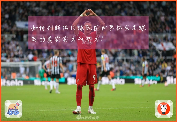 如何判断热门球队在世界杯买足球时的真实实力和潜力？