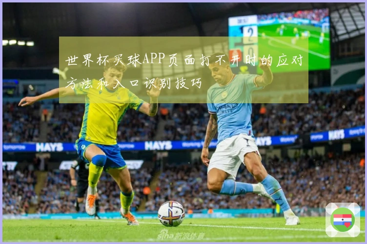 世界杯买球APP页面打不开时的应对方法和入口识别技巧