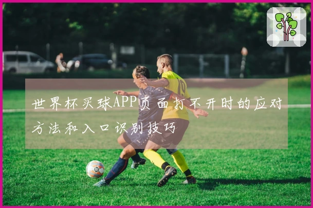 世界杯买球APP页面打不开时的应对方法和入口识别技巧