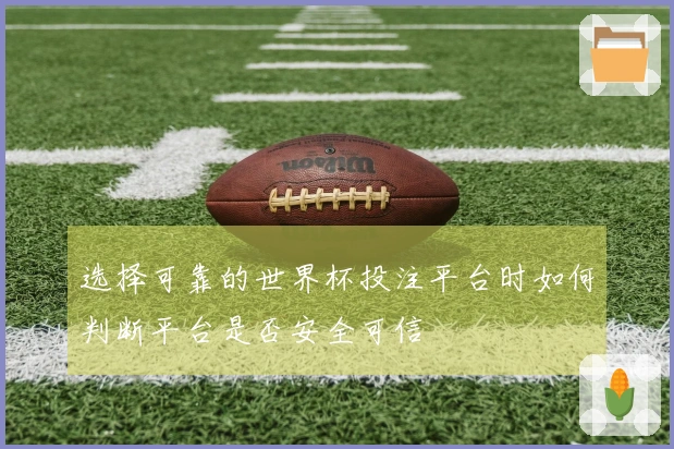 选择可靠的世界杯投注平台时如何判断平台是否安全可信