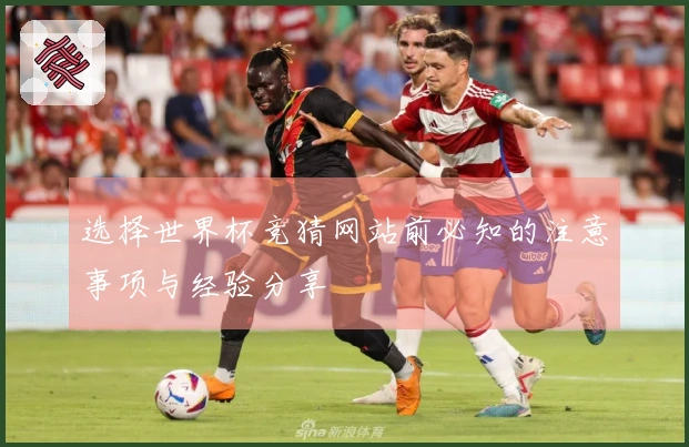 选择世界杯竞猜网站前必知的注意事项与经验分享
