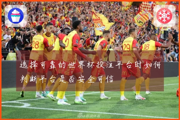 选择可靠的世界杯投注平台时如何判断平台是否安全可信