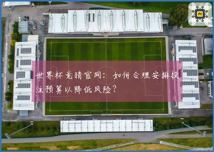 世界杯竞猜官网：如何合理安排投注预算以降低风险？