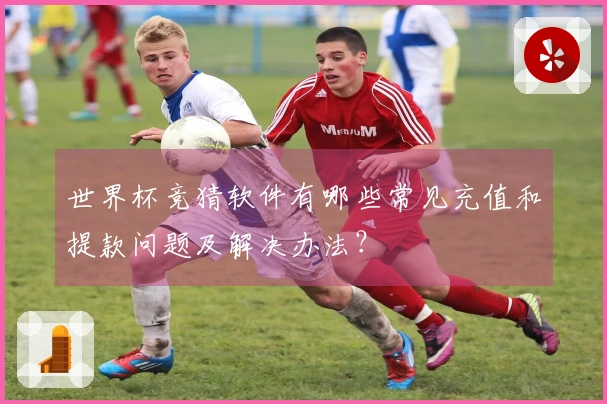 世界杯竞猜软件有哪些常见充值和提款问题及解决办法？