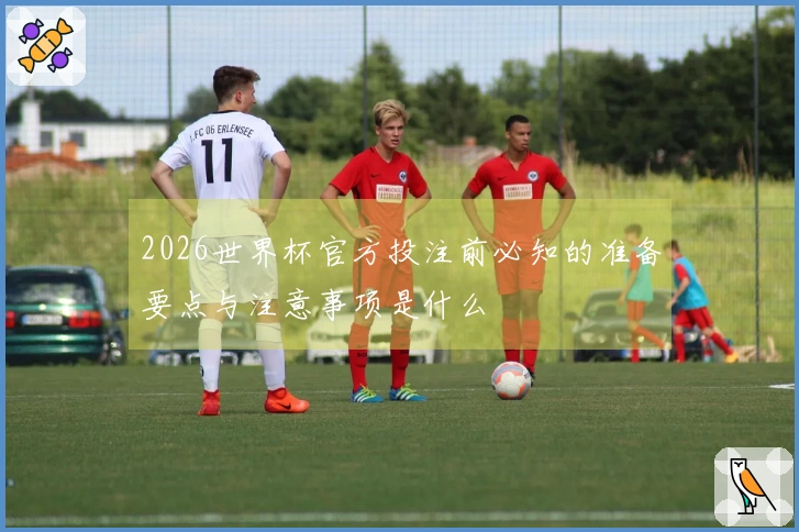 2026世界杯官方投注前必知的准备要点与注意事项是什么
