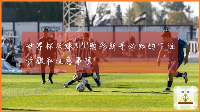 世界杯买球APP购彩新手必知的下注步骤和注意事项