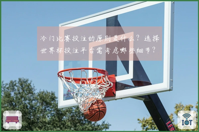 冷门比赛投注的原则是什么？选择世界杯投注平台需考虑哪些细节？