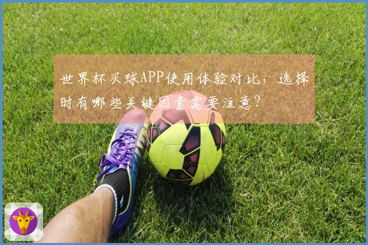 世界杯买球APP使用体验对比，选择时有哪些关键因素需要注意？